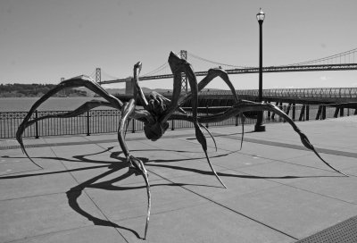 Crouching Spider_Pier 14_San Fran.jpg
