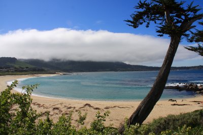 Beach_Carmel by the sea.jpg