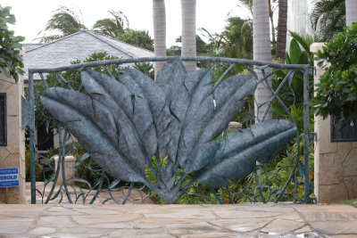 IMG_7606SZ.JPG