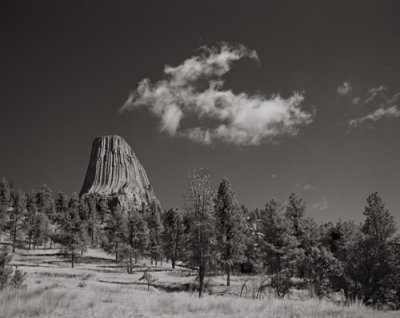 Devil's Tower, Wyoming no. 2, 2000