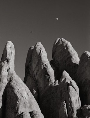 Utah Moon with Raptor, 1998