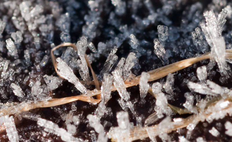 Ice_Crystals_16272_D5000_ed1.jpg