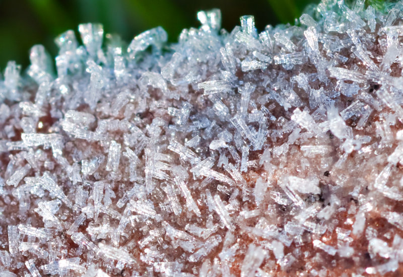 Ice_Crystals_16283_D5000.jpg