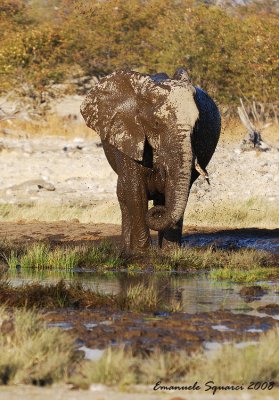 Playing with the mud