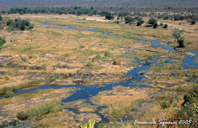 view from Olifant Camp