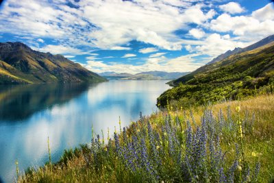 Lake Wakatipu, Near Kingston