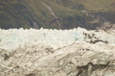Intrepid Explorers, Fox Glacier