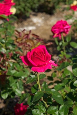 g3/60/948360/3/123636540.YHVwvwZN.jpg