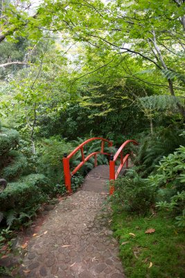 Japanese Garden, Private Garden, Mt Macedon (2)