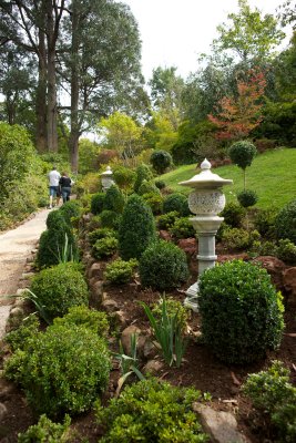Japanese Garden, Private Garden, Mt Macedon (3)
