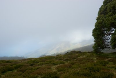 Storm coming, Great Alpine Road