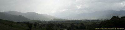 Morning Shower