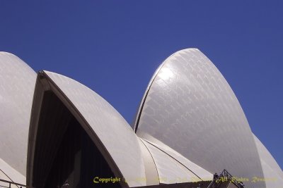 Sails on the Harbour, Sydney