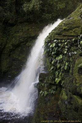 Lower McLean Falls, The Catlins