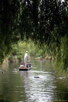 Punting on the Avon River, Christchurch