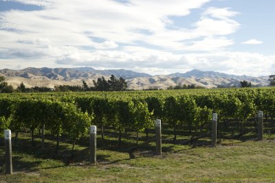 Wither Hills, Marlborough