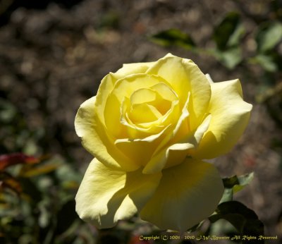g3/60/948360/3/124618603.ZexMyf7c.jpg