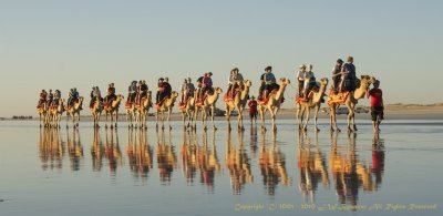 Western Australia - North West