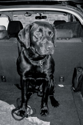Waiting in the car