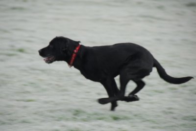 Poetry in Motion
