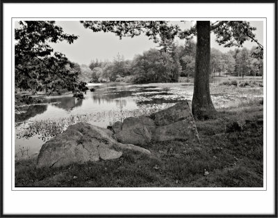 Mill Pond Durham