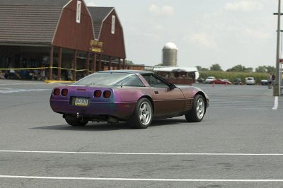 DSC_1598.jpg