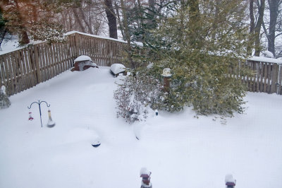 Backyard looking down from bedroom
