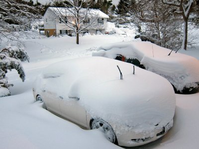 The Blizzard Hits