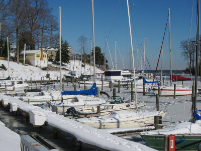 Snowy Docks