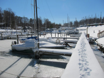 g3/61/217761/3/121803859.cYFLReUQ.jpg