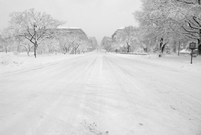 Fourteenth St. at the National Mall