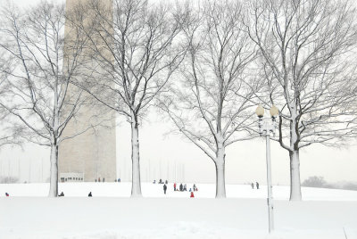 The Washington Monument