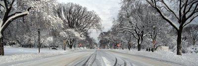 Constitution Ave at 23rd St.