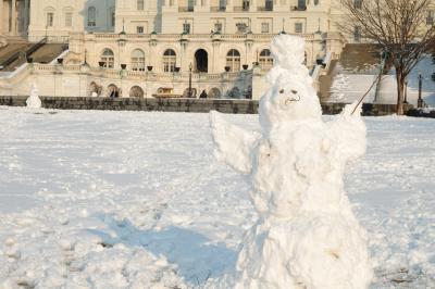 Snowman or lobbyist?