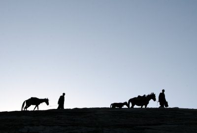 Walking the Horses, Wakhan Corridor, Afghanistan