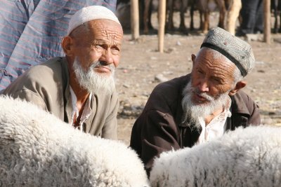 Old Men and Sheep, A Tale of Central Asia, Kashgar, Chinese East Turkistan
