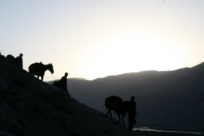 Leading Horses down the Hill, Qila, Afghanistan