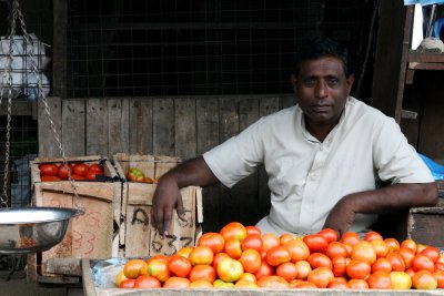 Tomato Salesman, Colombo, Sri Lanka