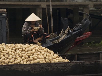 Produce Can Tho, Vietnam -January 2008-