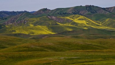 <B>California Spring</B> <BR><FONT SIZE=2>Central California, April 2008</FONT>