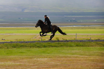 Horse Show Norther Iceland - July 2009