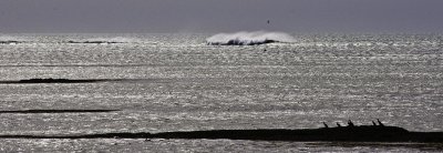 g3/61/302061/3/120730863.AoAuvcNL.jpg