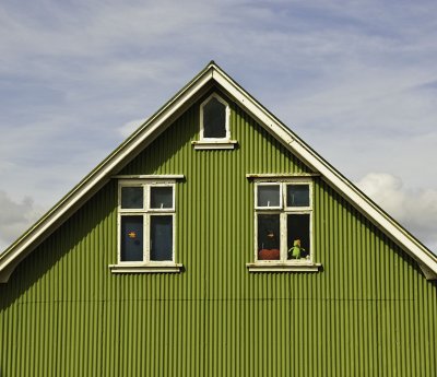 Kermit Green Vik, Iceland - July 2009