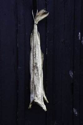 Dried Fish Skogar Folk Museum, Iceland - July 2009