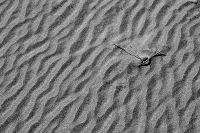 Interrupted Eureka Dunes, Death Valley, California-February, 2010
