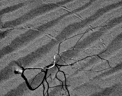 Wind Swept Eureka Dunes, Death Valley, California-February, 2010