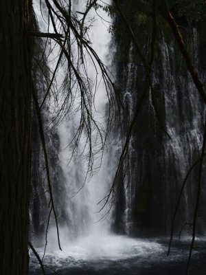 <B>The Falls</B> <BR><FONT SIZE=2>Burney, California - September, 2008</FONT>