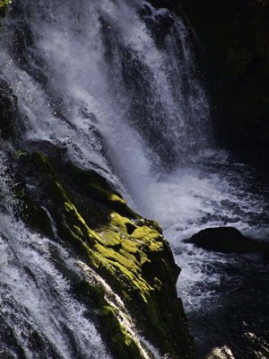 GALLERY:: Along the McCloud River -  September,  2008