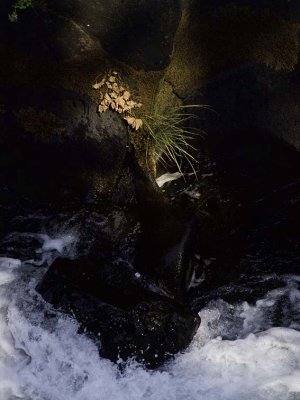 <B>Flow of Light and Water</B> <BR><FONT SIZE=2>McCloud River, California - September, 2008</FONT>