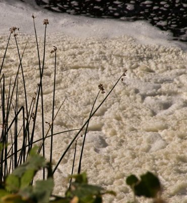 Unknown Foam Klamath River, California- September, 2008